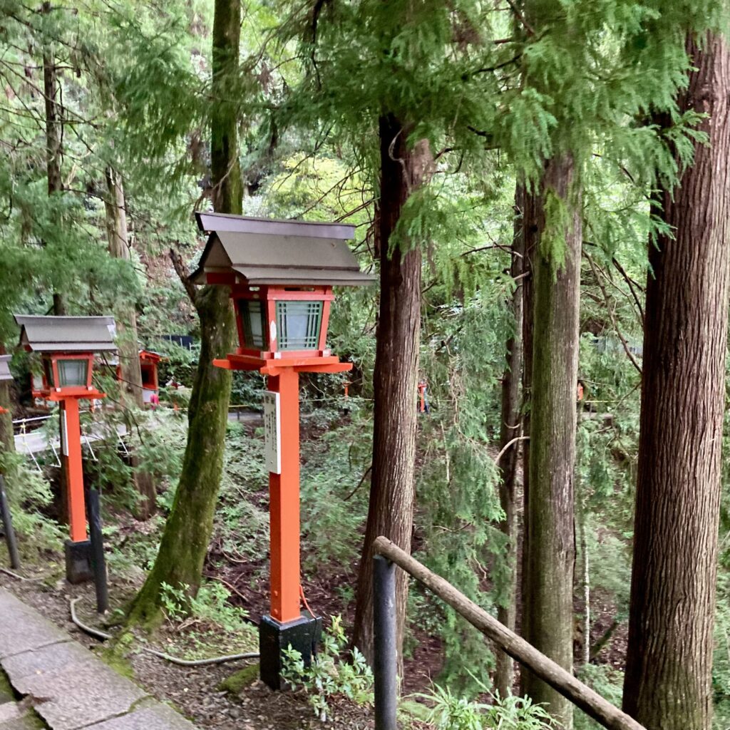 鞍馬寺 参道 林道 灯篭 新緑 山道